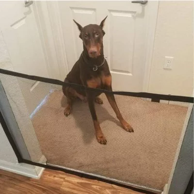 Cercas e Telas Para Pets - Imagem 2