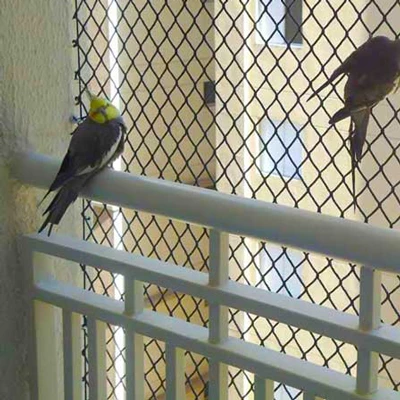 Redes de Proteção para Sacadas - Imagem 4